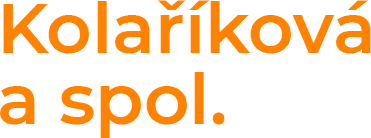 accountant logo image